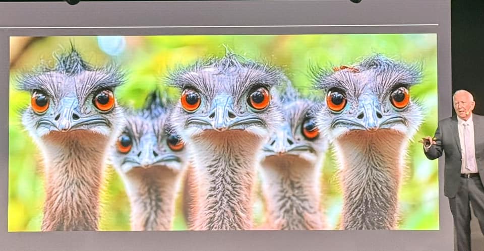 Day 13 January 26, 2025 Australia Day and sea&nbsp;day