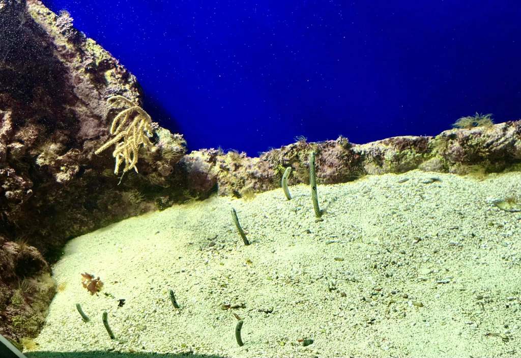 Day 35. Monday February 17, 2025 Noumea, New&nbsp;Caledonia